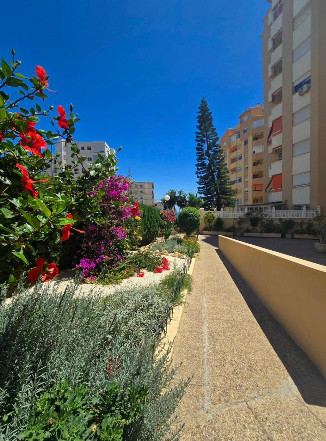 Mikasika - Duplex Apartment With Seasonal Swimming Pool & Walking Distance From The Beach La Cala Del Moral Esterno foto